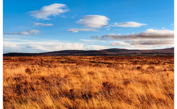 Art print of Culloden Moor