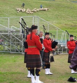 Groups of pipers can be seen practicing around every corner.