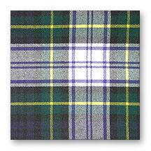 Tartan Swatch: Gordon Dress