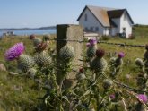 Flower of Scotland bagpipes