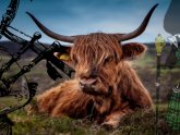 Walking, Kilt