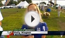 Sheep Herding & Guys In Kilts At Irish Fest!