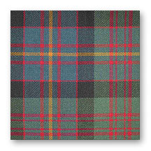 Tartan Swatch: Cameron of Erracht Muted