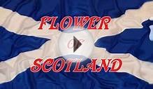 Music ~Flower of Scotland ~Lone Piper~ Bagpipes.